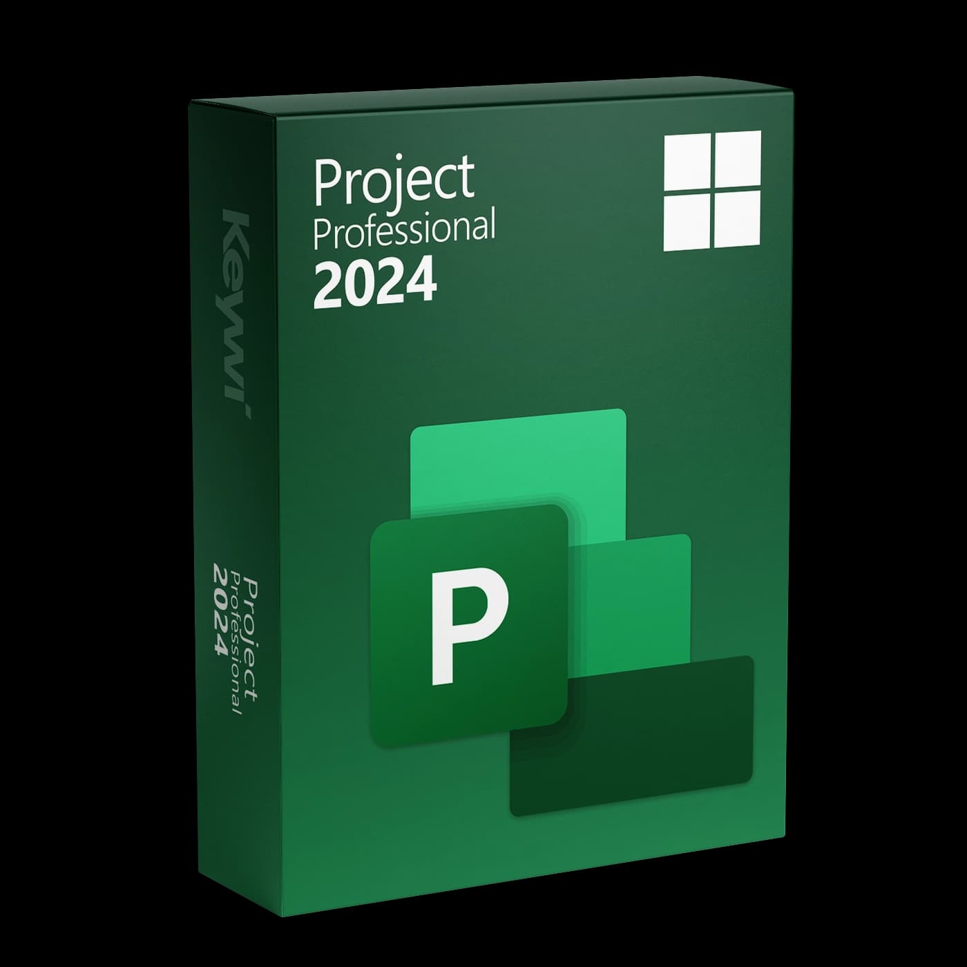 Microsoft Project 2024 Professional